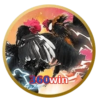 360win